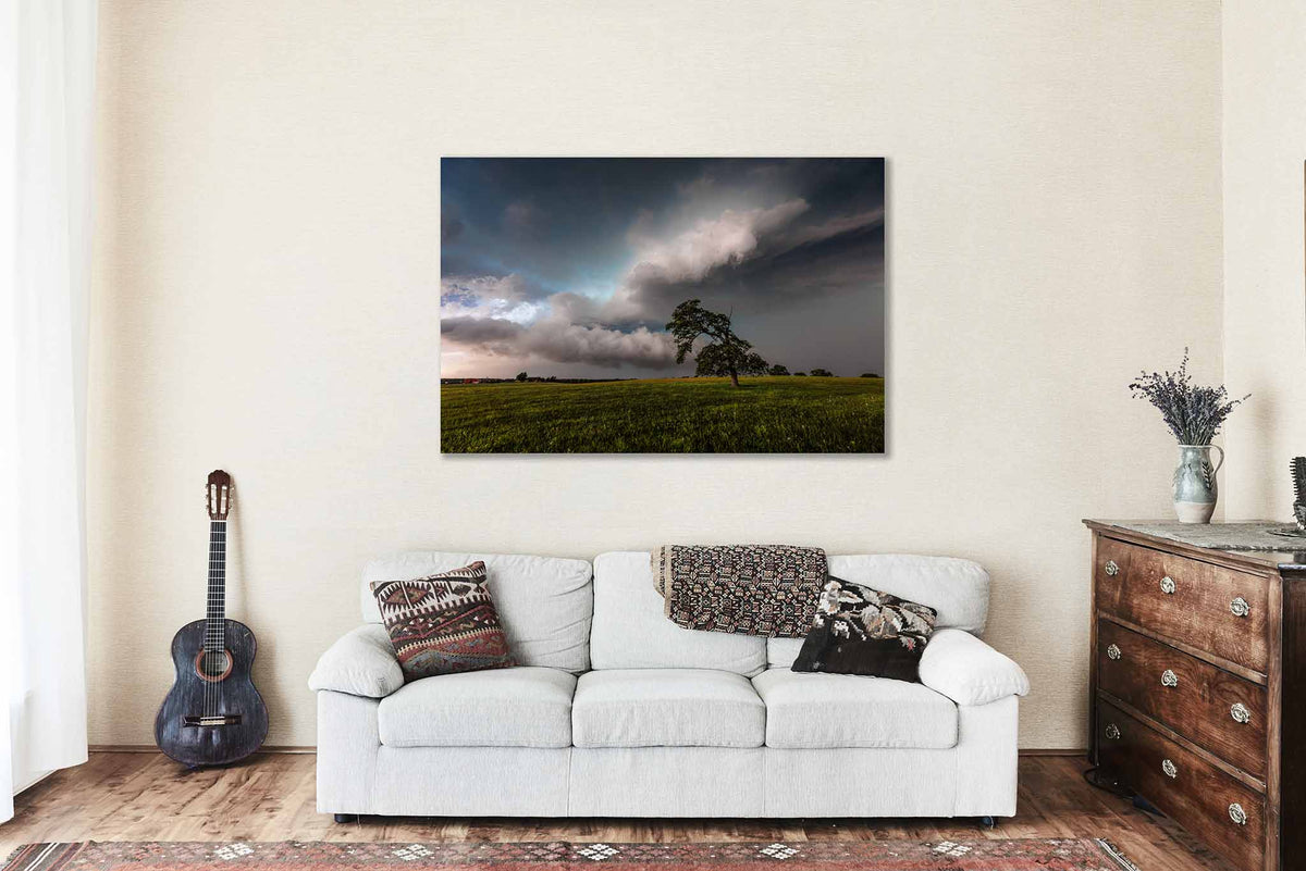 Lone Tree Bending Toward Storm Clouds in Oklahoma Metal Print Wall Art | Thunderstorm Photography Weather Decor