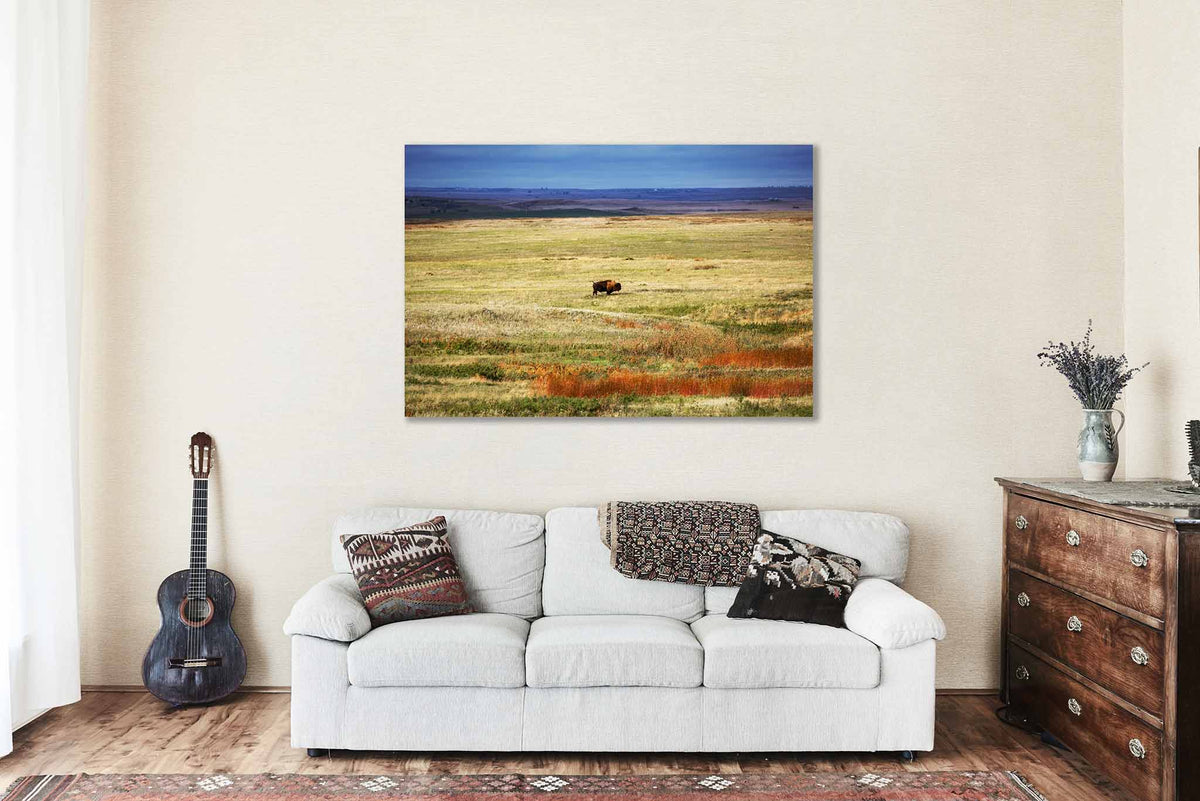 Bison Standing in Vast Open Prairie in South Dakota Canvas Wall Art | Buffalo Photography Western Decor