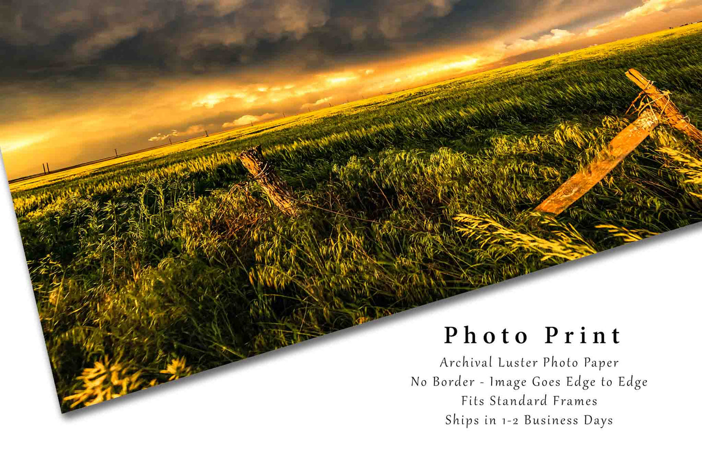 Kansas Fine Art Photography Print - Picture of Fence Posts and Green Field After Storms at Sunset Near Dodge City Farm Landscape Rural Art