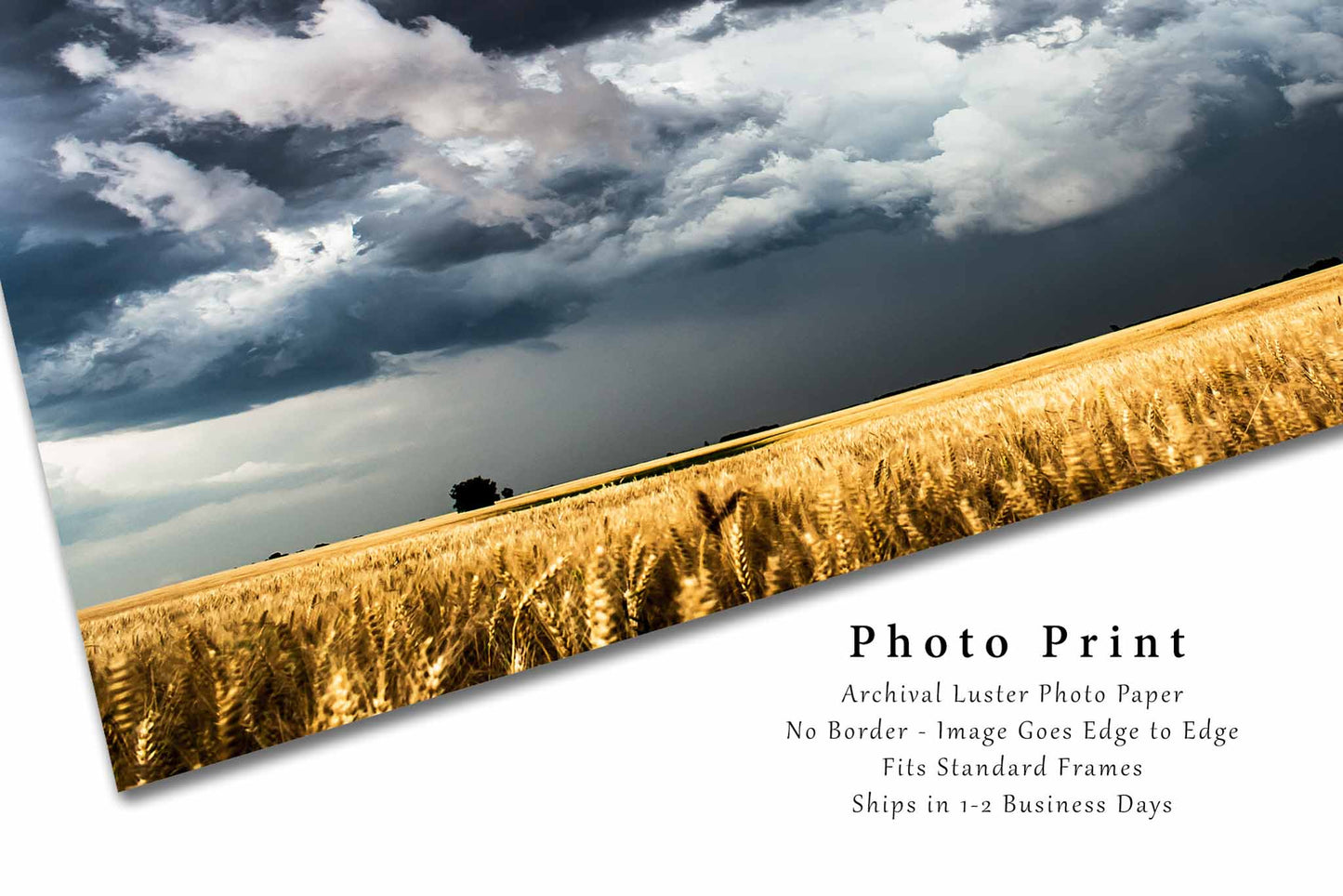 Storm Clouds Photography Print | Wheat Field Picture | Kansas Wall Art | Country Photo | Farmhouse Decor | Not Framed