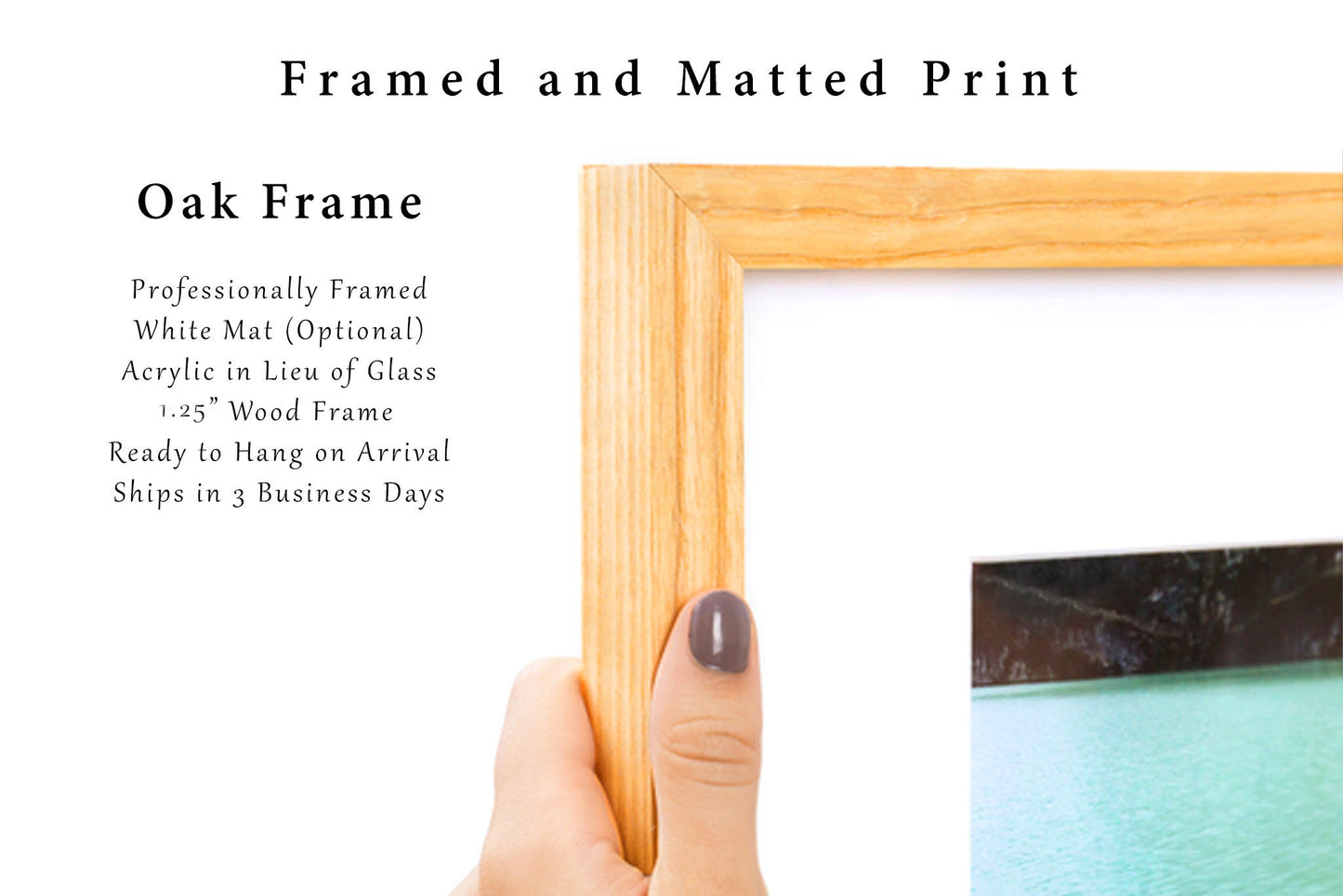 Angel Oak Tree Framed and Matted Print | Lowcountry Photo | Charleston South Carolina Decor | Southern Photography| Nature Wall Art | Ready to Hang
