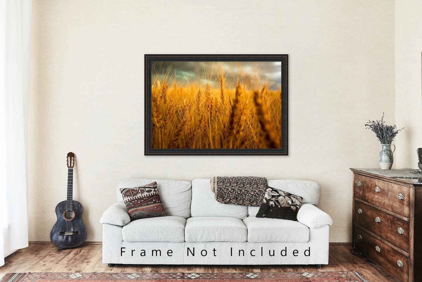 Country Photography Print (Not Framed) Picture of Golden Stalks in Wheat Field at Harvest Time in Colorado Farm Photography Farmhouse Decor