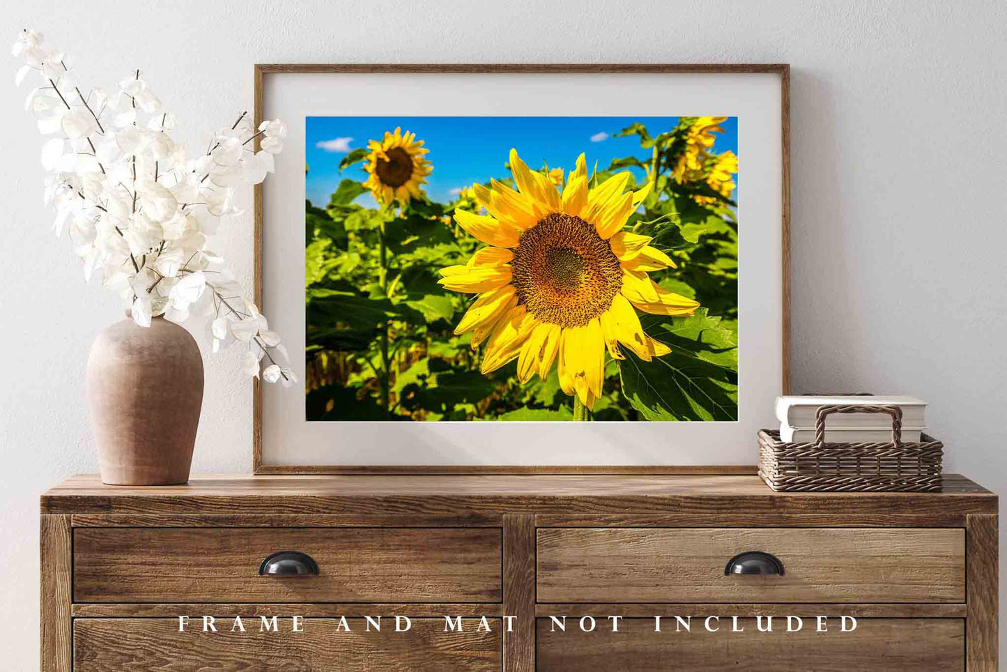 Farm Photography Print - Picture of Large Sunflower in Field on Autumn Day in Kansas - Country Farmhouse Wall Art Photo Artwork Decor