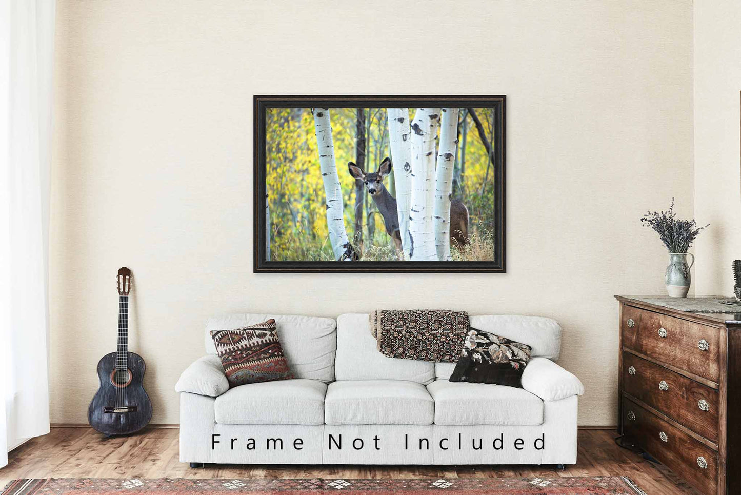 Mule Deer Photography Print | Wildlife Picture | Rocky Mountain Wall Art | Colorado Photo | Western Decor | Not Framed