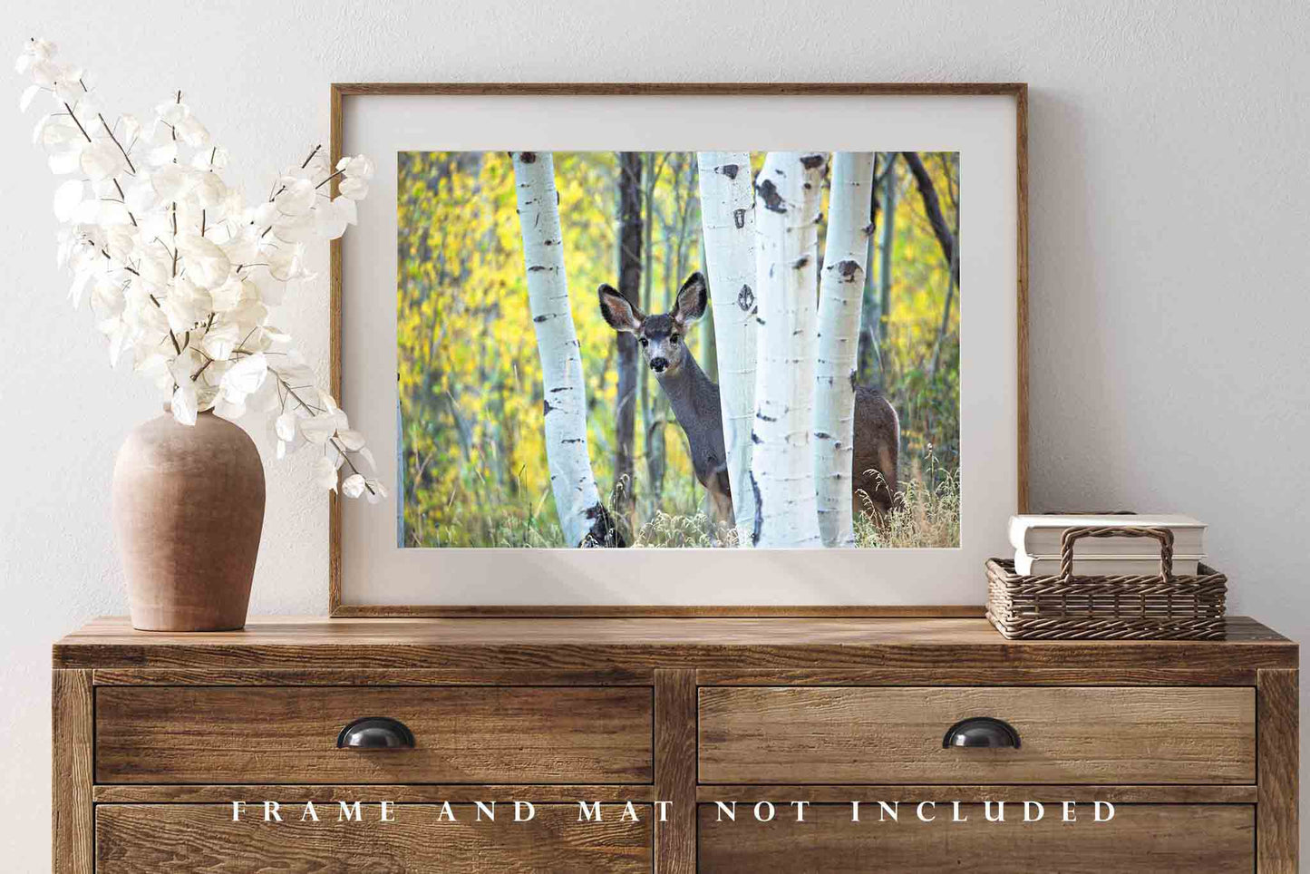 Mule Deer Photography Print | Wildlife Picture | Rocky Mountain Wall Art | Colorado Photo | Western Decor | Not Framed
