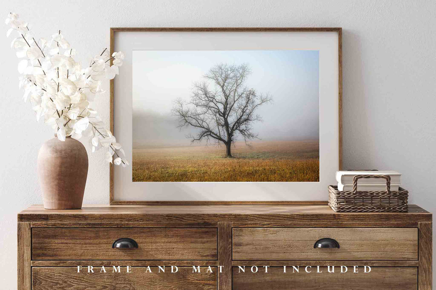 Nature Photography Print | Tree Shrouded in Fog Picture | Great Smoky Mountains Wall Art | Cades Cove Photo | Tennessee Decor | Not Framed