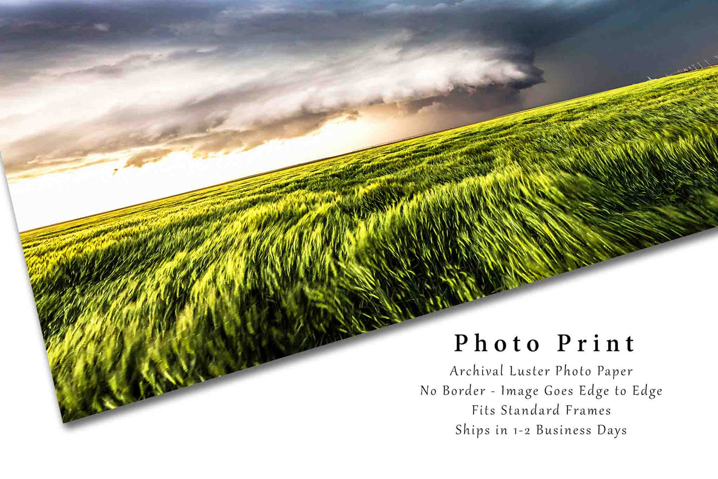 Storm Photography Print (Not Framed) Picture of Supercell Thunderstorm Over Waving Wheat Field on Stormy Spring Day in Kansas Great Plains Wall Art Weather Decor