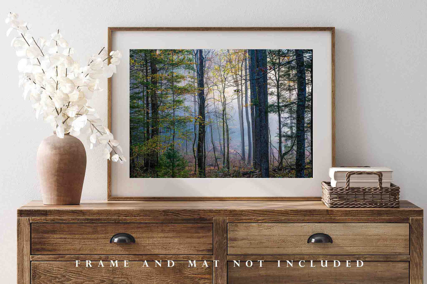 Forest Photography Wall Art Print - Picture of Trees with Fall Colors Surrounded by Fog in Great Smoky Mountains Tennessee Nature Decor