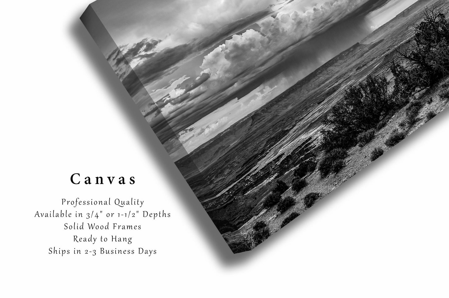 Canvas Wall Art | Canyonlands National Park Photo | Black and White Gallery Wrap | Utah Photography | Desert Landscape Picture | Western Decor