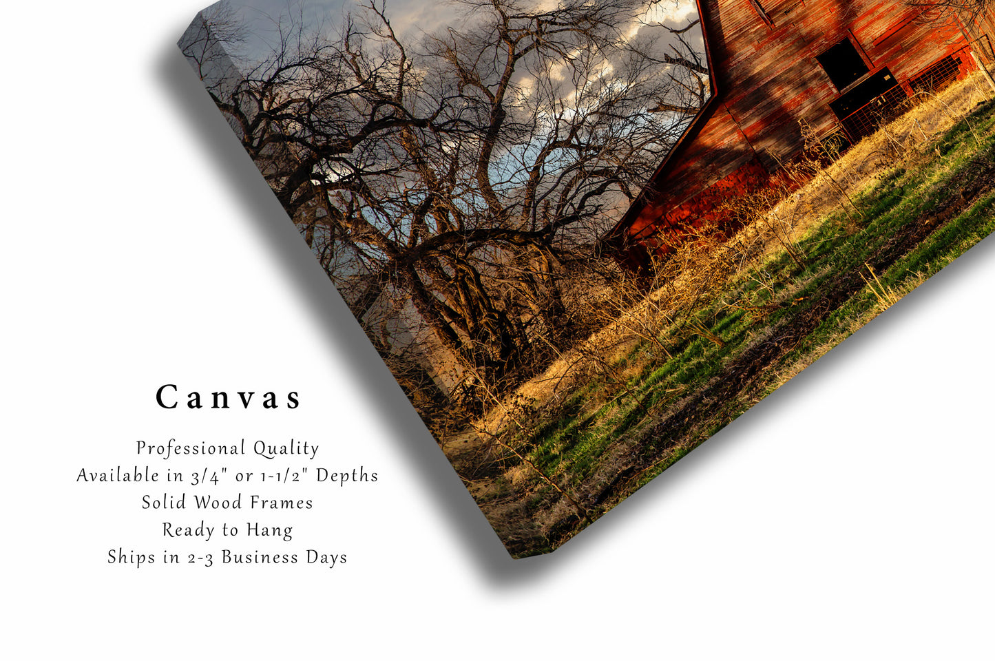 Country Canvas Wall Art (Ready to Hang) Gallery Wrap of Rustic Red Barn in Shadows of Leafless Trees in Oklahoma Farm Photography Farmhouse Decor