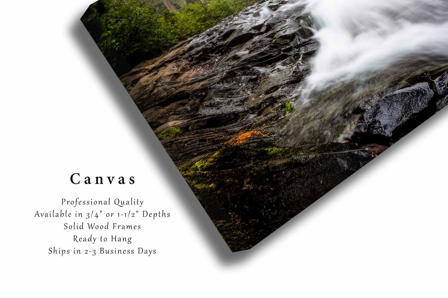 Pacific Northwest Canvas Print | Paradise River Wall Art | Washington Photography | Mount Rainier National Park Photo | Nature Decor