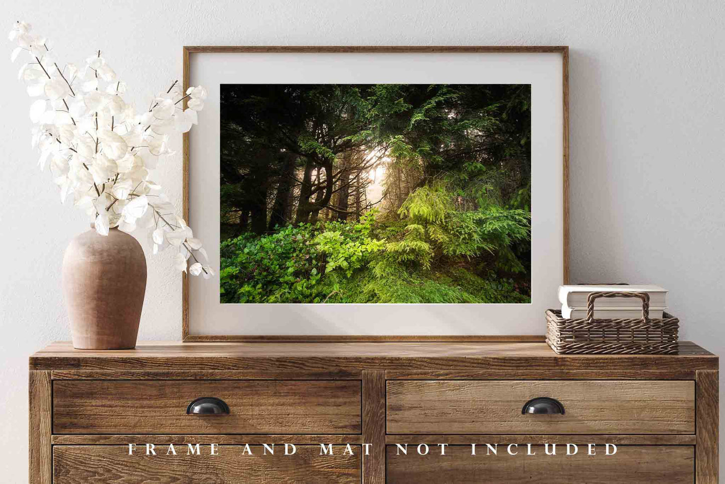 Rainforest Photography Print - Wall Art Picture of Warm Light Emerging Through Dense Forest in Washington State Pacific Northwest Decor