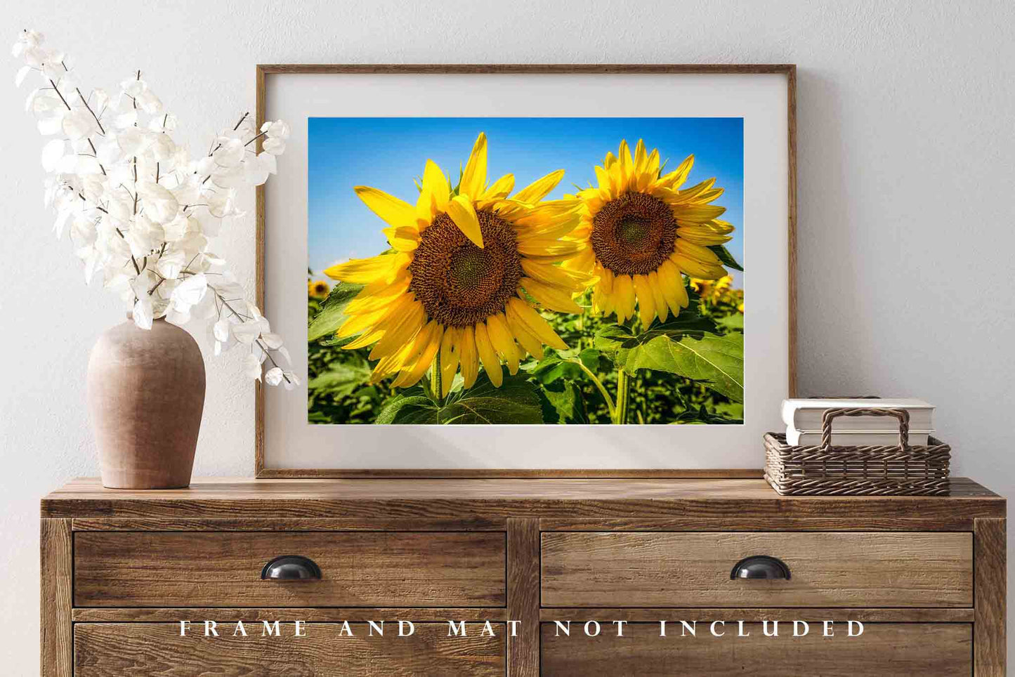 Country Photography Print (Not Framed) Picture of a Pair of Large Sunflowers on Autumn Day in Kansas Botanical Wall Art Farmhouse Decor