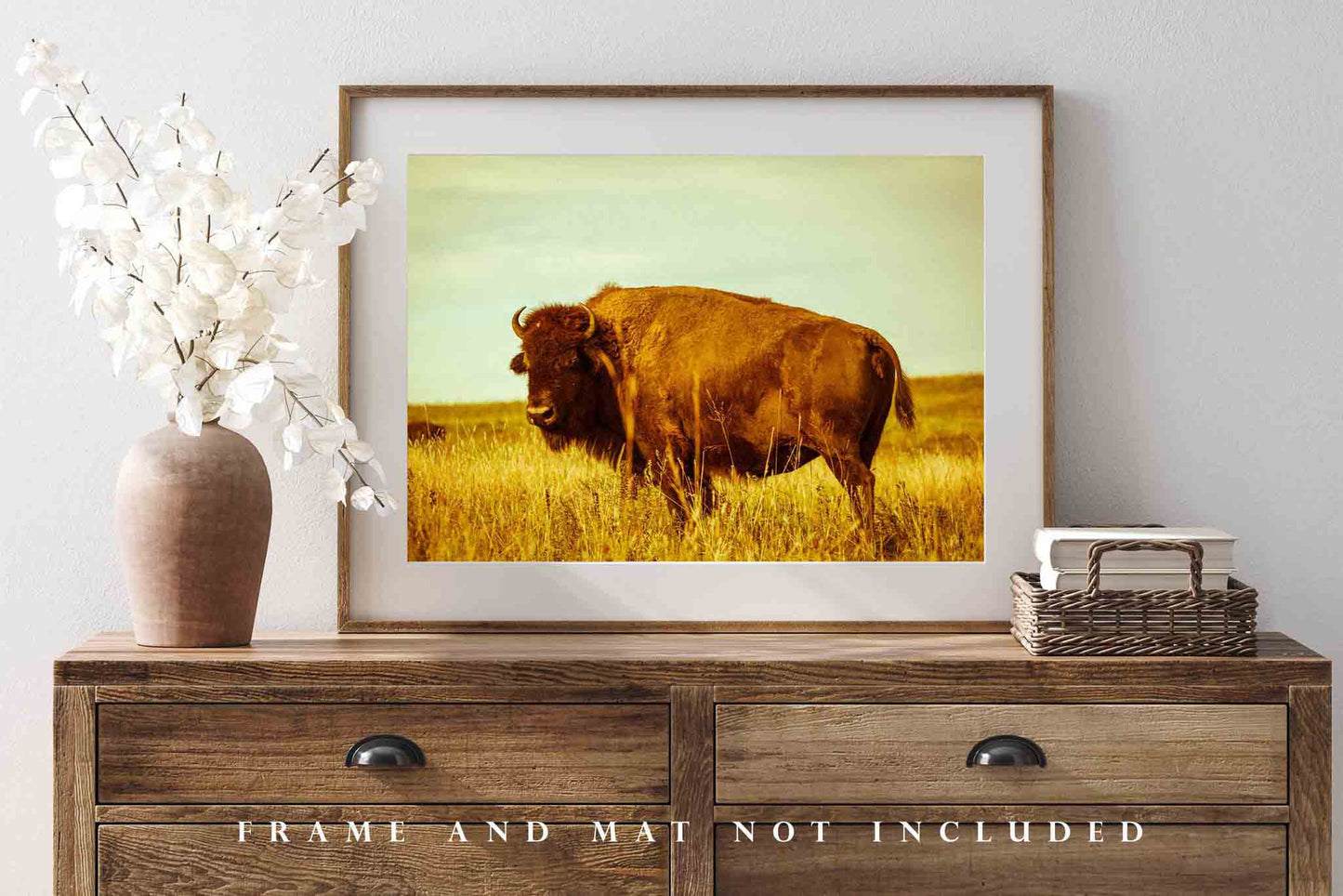 Buffalo Photography Print | Bison Picture | Tallgrass Prairie Wall Art | Oklahoma Photo | Western Decor | Not Framed