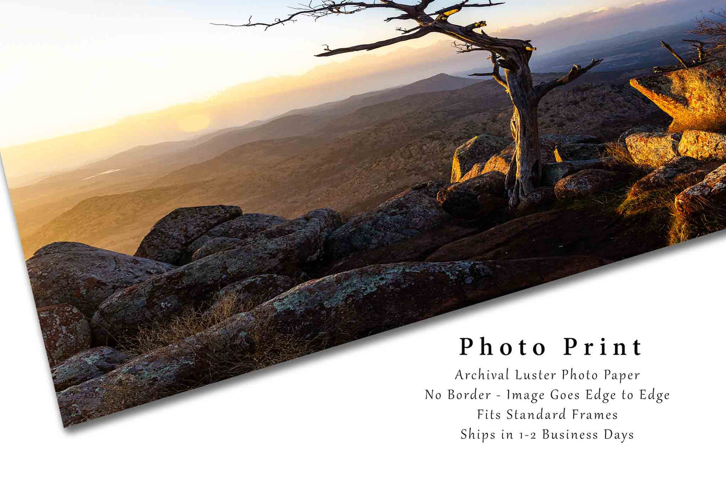 Nature Photo Print | Tree at Summit of Mount Scott Picture | Oklahoma Wall Art | Wichita Mountains Wildlife Refuge Photography | Great Plains Decor