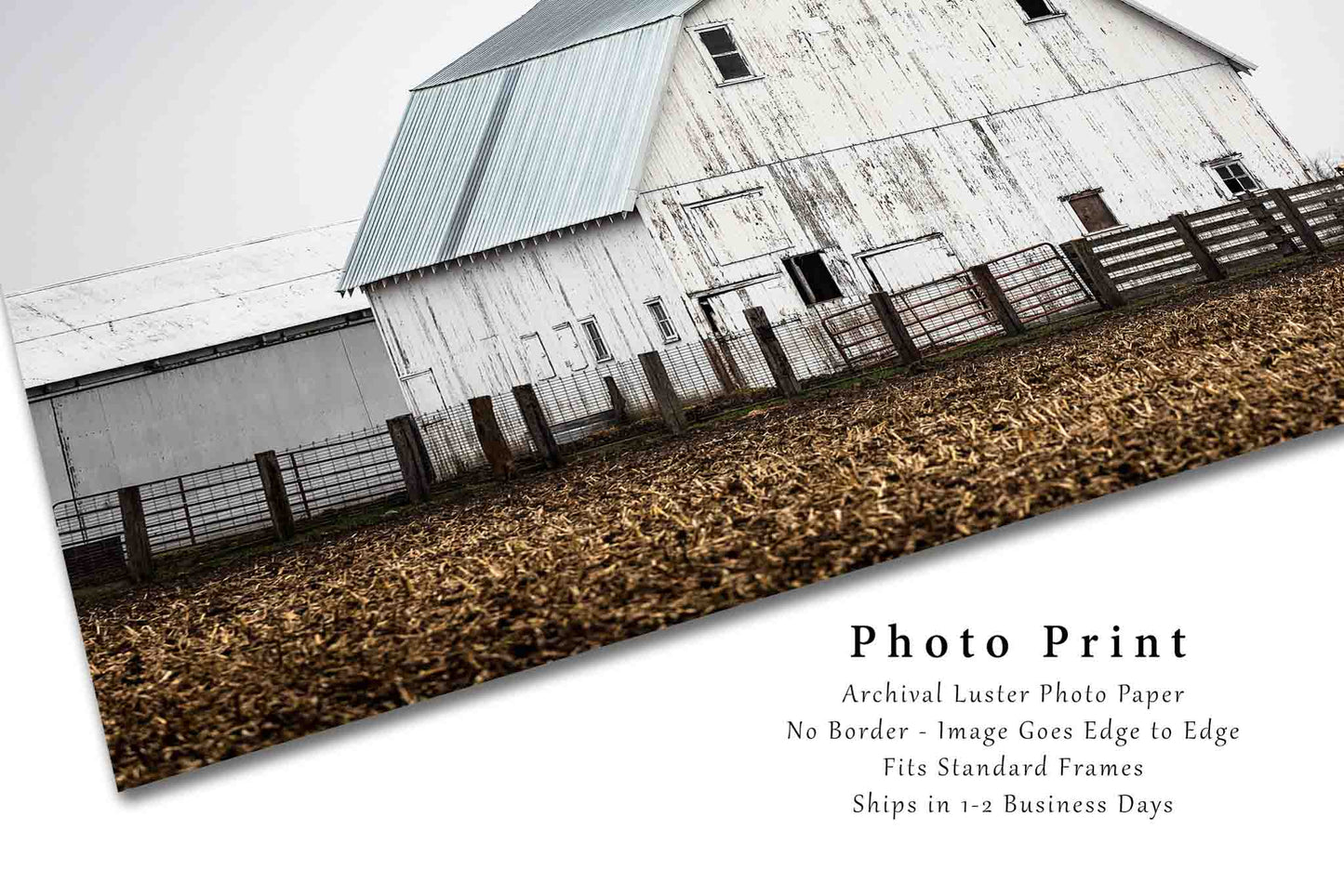 White Barn Photography Print | Farm Picture | Illinois Wall Art | Country Photo | Farmhouse Decor | Not Framed