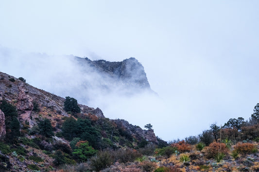 Chihuahuan Desert photography print of a mountain peak appearing through thick fog on a chilly spring day in the Chisos Mountains in Big Bend National Park, Texas by Sean Ramsey of Southern Plains Photography. 
