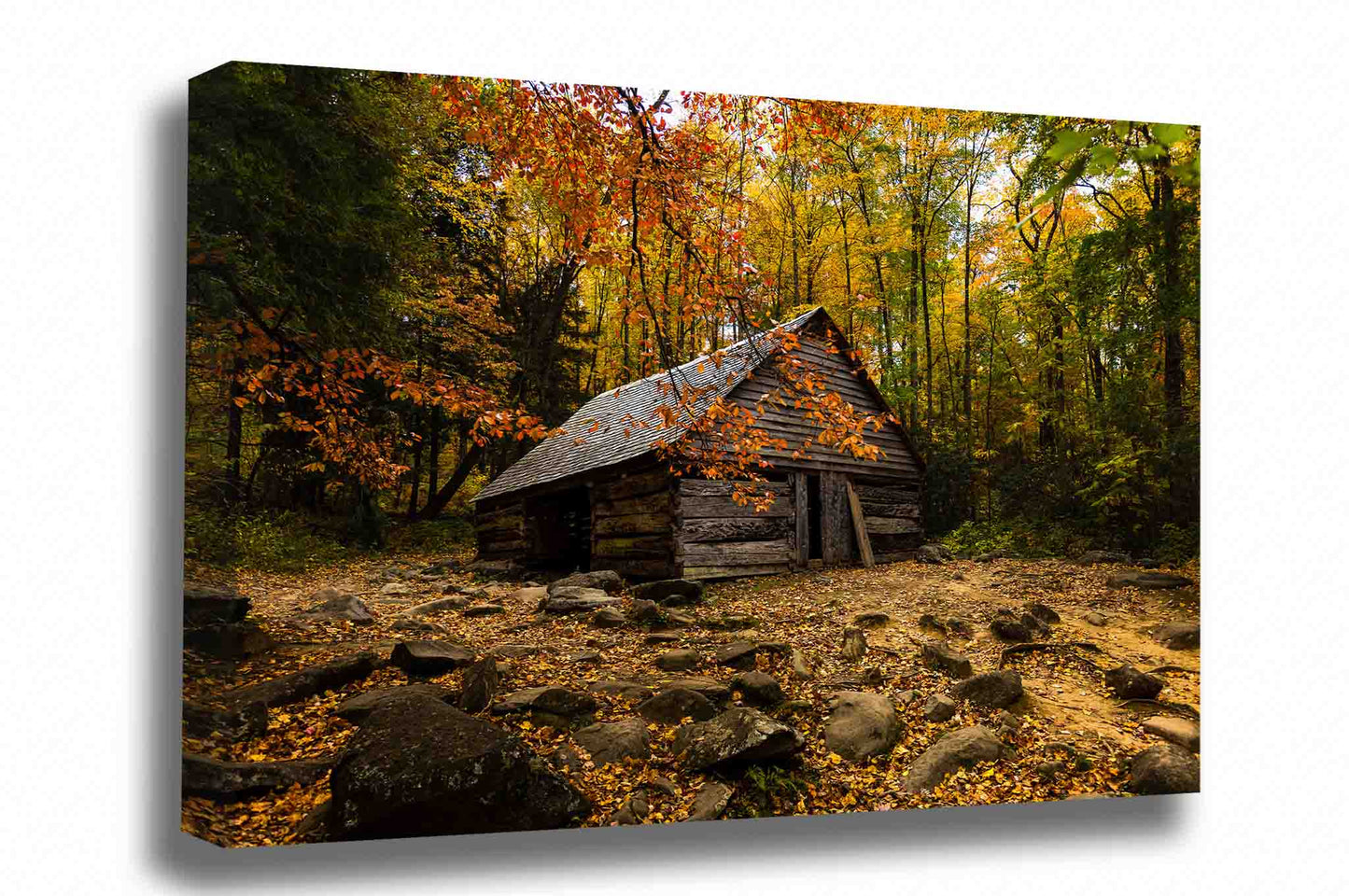 Country canvas wall art of an old barn surrounded by fall foliage on an autumn day at the Ogle Place in the Great Smoky Mountains near Gatlinburg, Tennessee by Sean Ramsey of Southern Plains Photography.