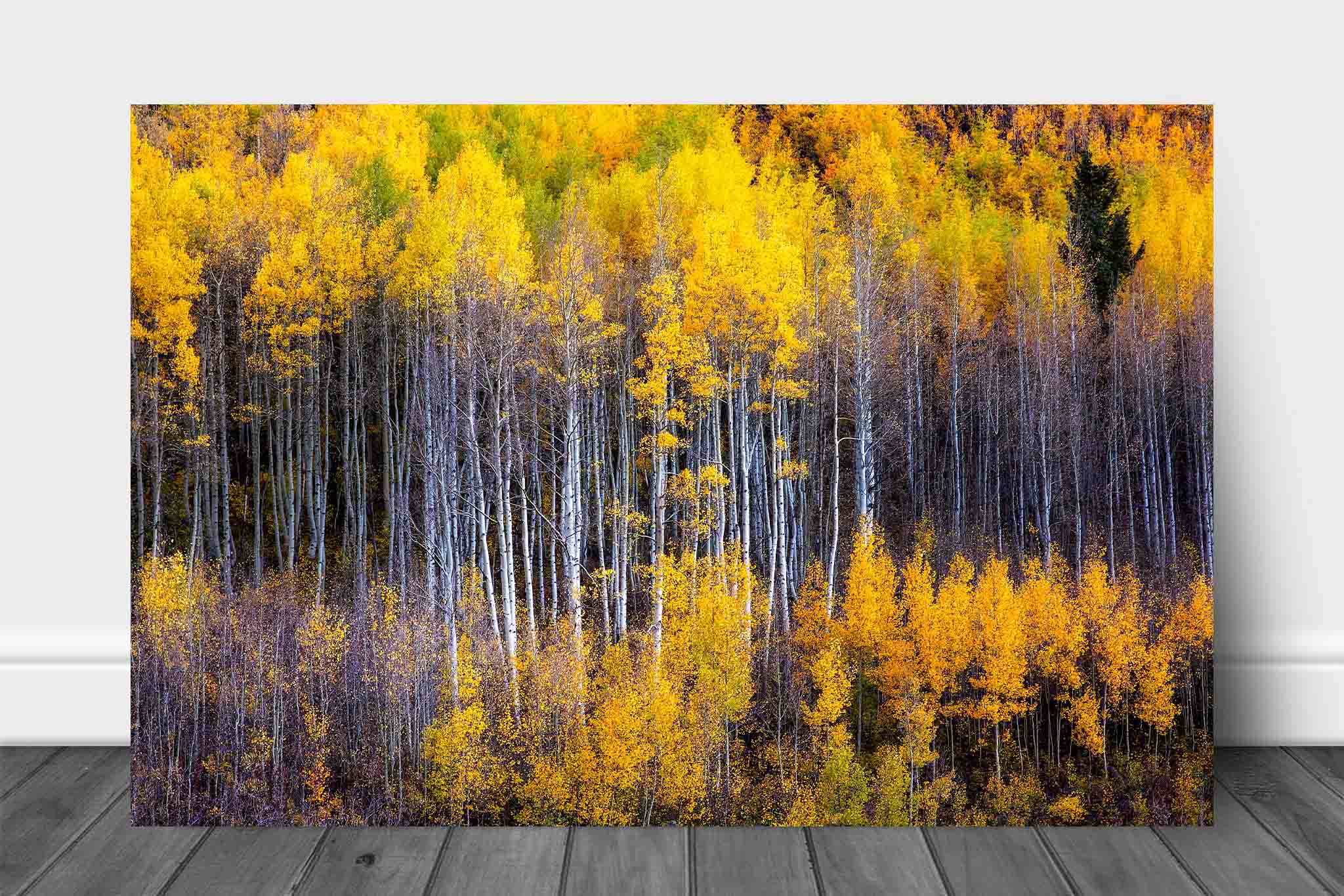 Deals Aspens in Autumn Painting