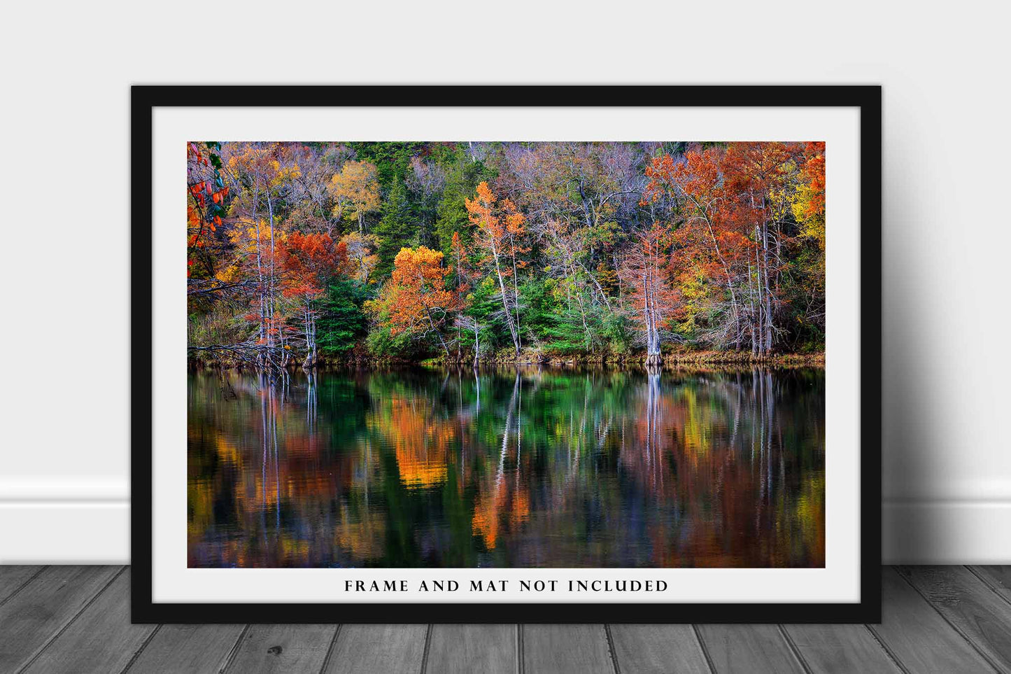 Forest Photography Print (Not Framed) Picture of Trees with Fall Foliage Reflecting in River at Beavers Bend State Park Oklahoma Autumn Wall Art Nature Decor