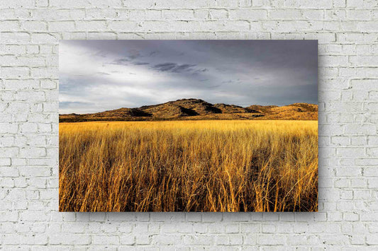 Wichita Mountains metal print on aluminum of a mountain overlooking golden prairie grass on an autumn day in Oklahoma by Sean Ramsey of Southern Plains Photography.
