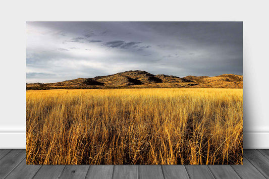 Wichita Mountains metal print on aluminum of a mountain overlooking golden prairie grass on an autumn day in Oklahoma by Sean Ramsey of Southern Plains Photography.