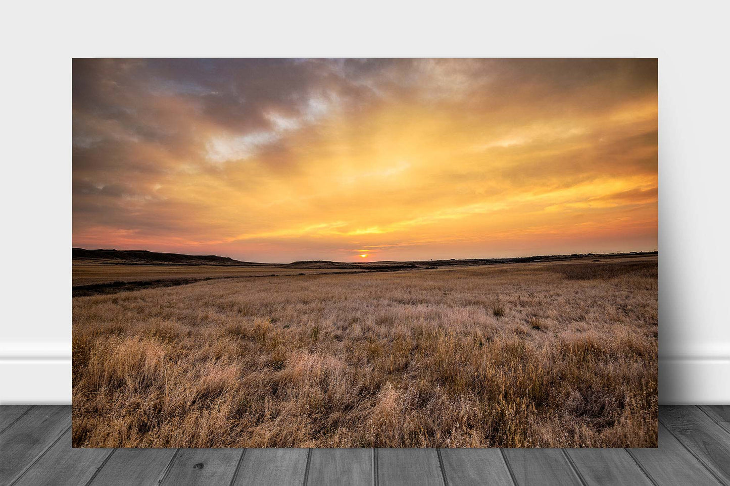 Western metal print on aluminum of a golden sunrise over the prairie on an autumn morning on the northern plains of Montana by Sean Ramsey of Southern Plains Photography.