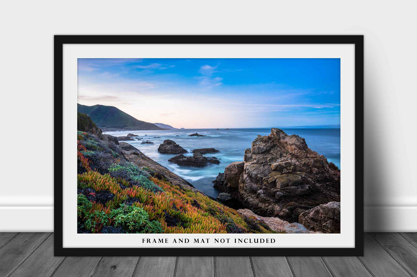 Coastal Wall Art - Picture of Colorful Succulents Along Coast at Sunrise in Big Sur California - Beach and Ocean Photo Artwork Decor