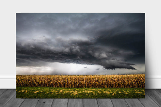 Storm metal print on aluminum of a thunderstorm over a withered corn field on a stormy autumn day in Kansas by Sean Ramsey of Southern Plains Photography.