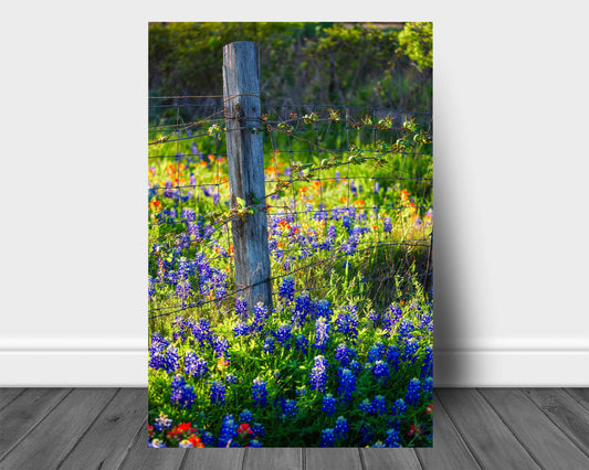 Vertical farmhouse metal print on aluminum of a fence post surrounded by bluebonnet wildflowers on a spring day in Texas by Sean Ramsey of Southern Plains Photography.