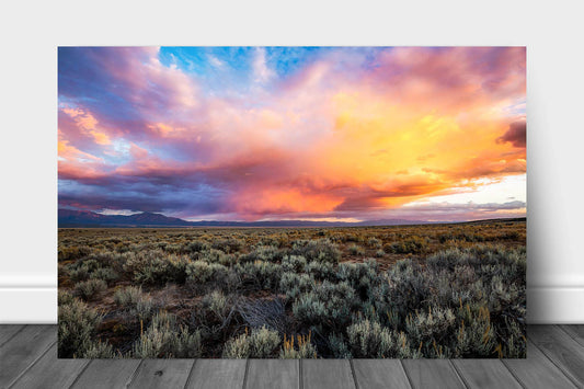 Rocky Mountain aluminum metal print of colorful storm clouds over sagebrush on an autumn evening near Taos, New Mexico by Sean Ramsey of Southern Plains Photography.