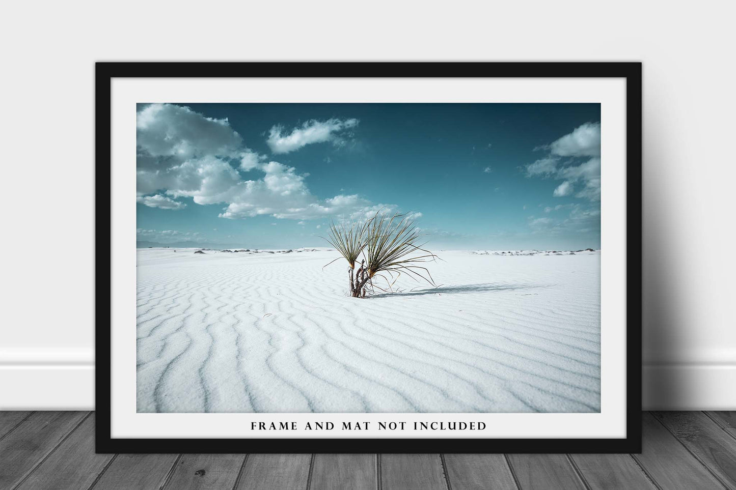 Desert Photography Print (Not Framed) Picture of Yucca Plant in Sand Dunes at White Sands National Park New Mexico Retro Cool Wall Art Southwestern Decor