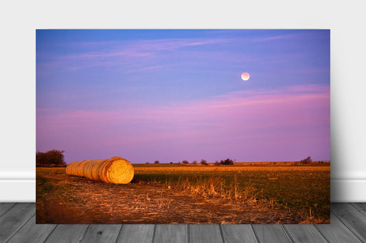 Country metal print on aluminum of a blood moon eclipse taking place over round hay bales in a field at sunrise in Oklahoma by Sean Ramsey of Southern Plains Photography.