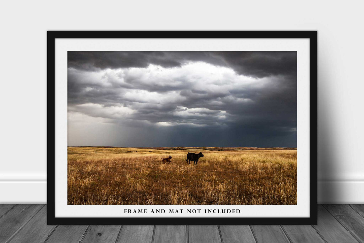 Great Plains Photography Print (Not Framed) Picture of Cow Watching Over Playful Calf on Stormy Day in Oklahoma Farm and Ranch Wall Art Western Decor