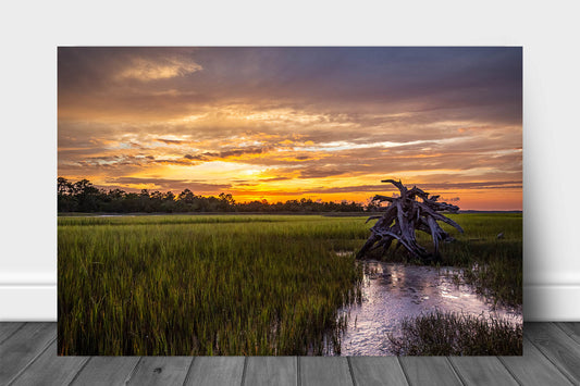 Coastal metal print on aluminum of a scenic sunset over a salt marsh on a summer evening at Pinckney's Island, South Carolina by Sean Ramsey of Southern Plains Photography.