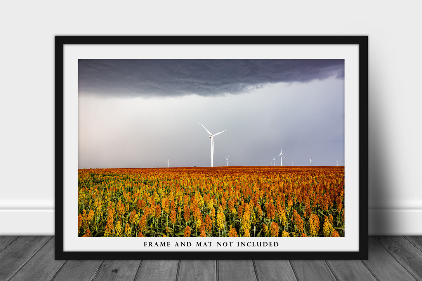 Country Photography Print - Picture of Colorful Maize Field and Wind Turbines on Autumn Day in Kansas - Farmhouse Home Decor Photo Artwork