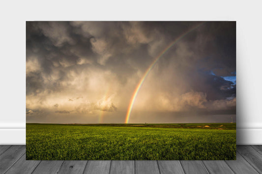 Nature metal print on aluminum of a brilliant rainbow shining in a stormy sky and ending in a field on a spring day in Oklahoma by Sean Ramsey of Southern Plains Photography.