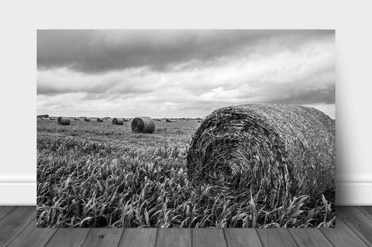 Black and white farm metal print of round hay bales in a field on a stormy spring day in Kansas by Sean Ramsey of Southern Plains Photography.