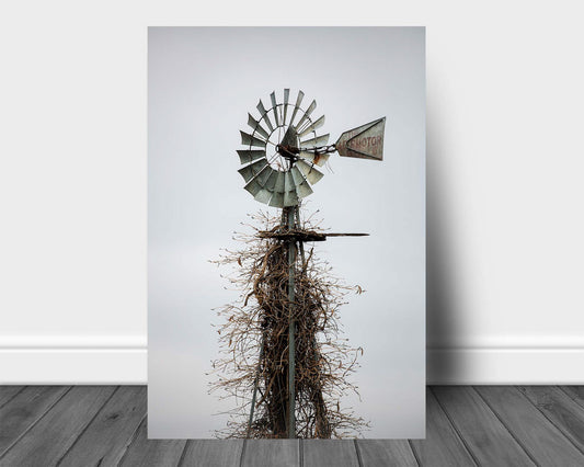 Country metal print on aluminum of an old windmill covered in vines on an abandoned farm in Oklahoma by Sean Ramsey of Southern Plains Photography.