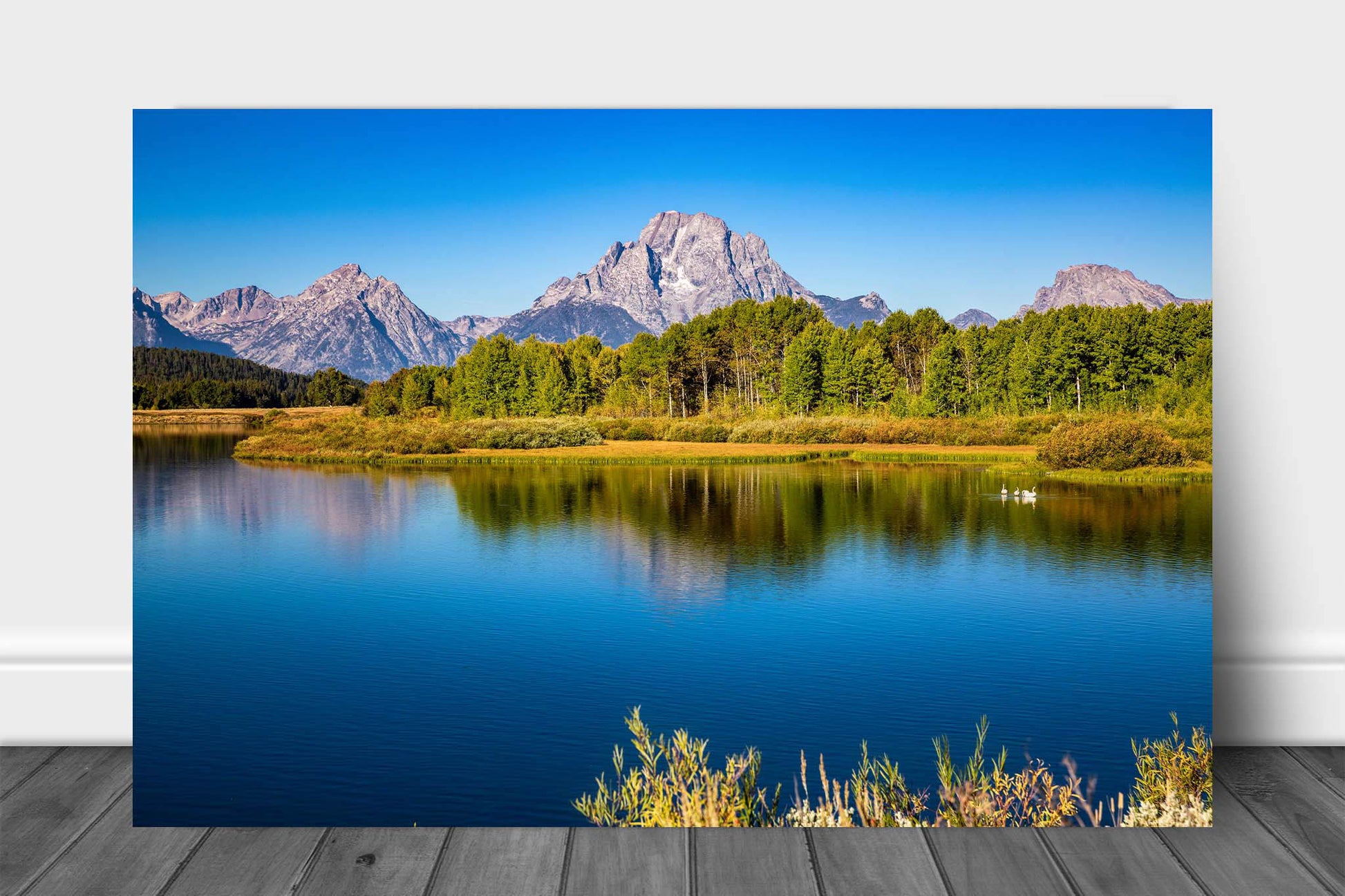 Rocky Mountain metal print on aluminum of Mount Moran overlooking the Snake River on an autumn day at Oxbow Bend in Grand Teton National Park, Wyoming by Sean Ramsey of Southern Plains Photography.