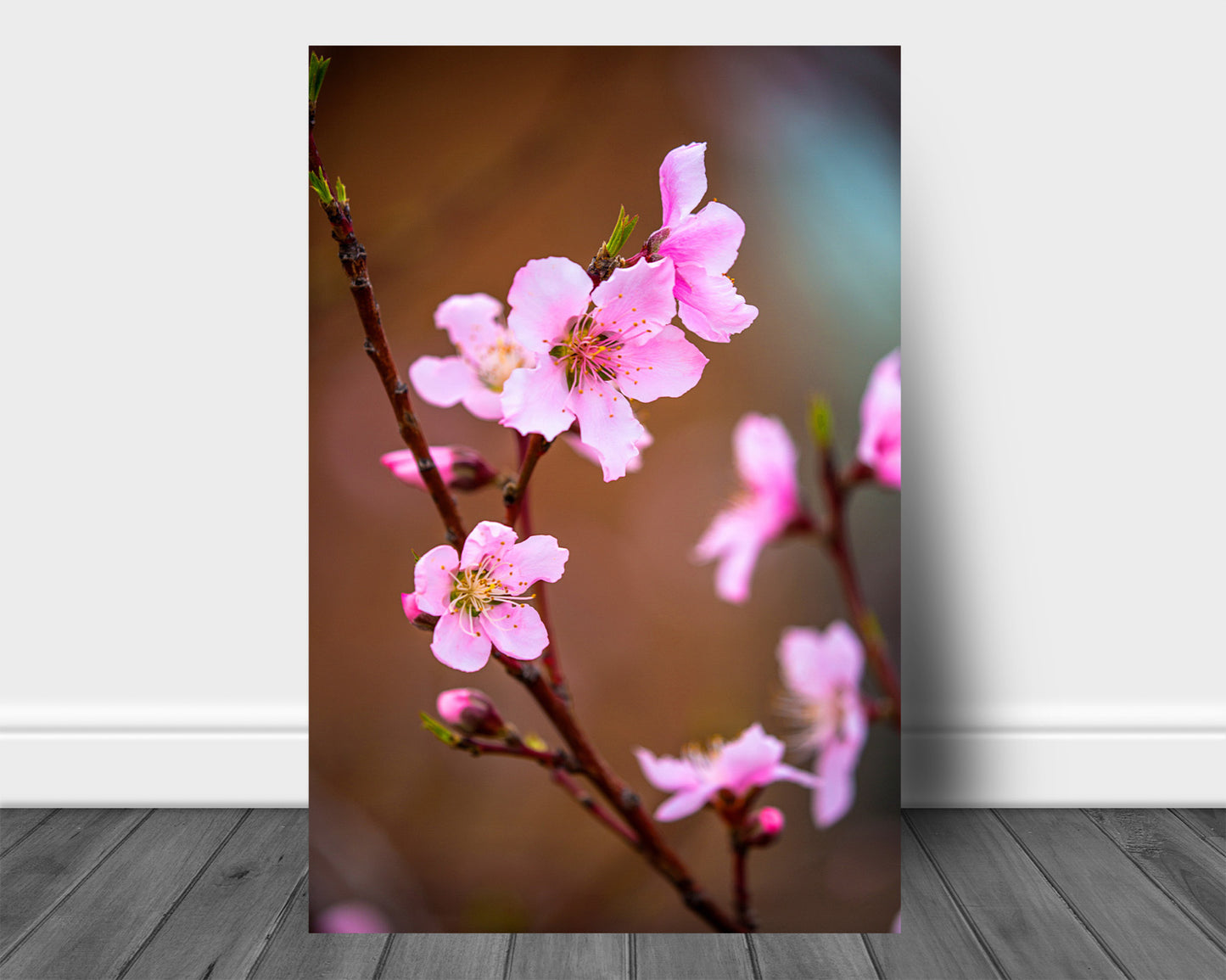 Vertical floral metal print on aluminum of pink peach blossoms on a spring day in Oklahoma by Sean Ramsey of Southern Plains Photography.