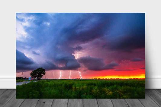 Storm metal print on aluminum of multiple lightning strikes during a summer thunderstorm at sunset in Oklahoma by Sean Ramsey of Southern Plains Photography.