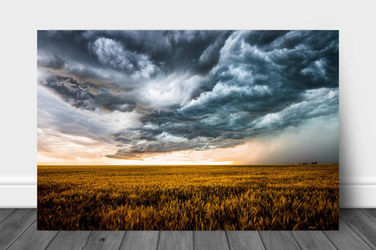 Western metal print of storm clouds churning over an amber wheat field on a stormy spring day on the plains of Colorado by Sean Ramsey of Southern Plains Photography.