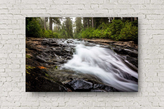 Pacific Northwest metal print on aluminum of the Paradise River rushing toward Narada Falls on a foggy morning in Mount Rainier National Park, Washington by Sean Ramsey of Southern Plains Photography.