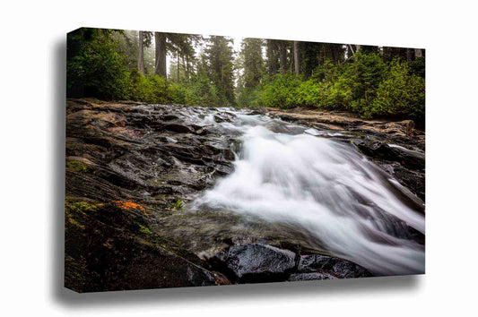 Pacific Northwest canvas wall art of the Paradise River rushing toward Narada Falls on a foggy morning at Mount Rainier National Park in Washington state by Sean Ramsey of Southern Plains Photography.