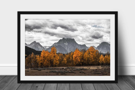 Rocky Mountain framed print with optional mat of Mount Moran in black and white overlooking golden aspen trees on an autumn day in Grand Teton National Park, Wyoming by Sean Ramsey of Southern Plains Photography.