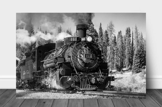 Black and White train metal print on aluminum of a Cumbres & Toltec steam engine passing through a pine tree forest on an autumn day in the Rocky Mountains of Colorado by Sean Ramsey of Southern Plains Photography.