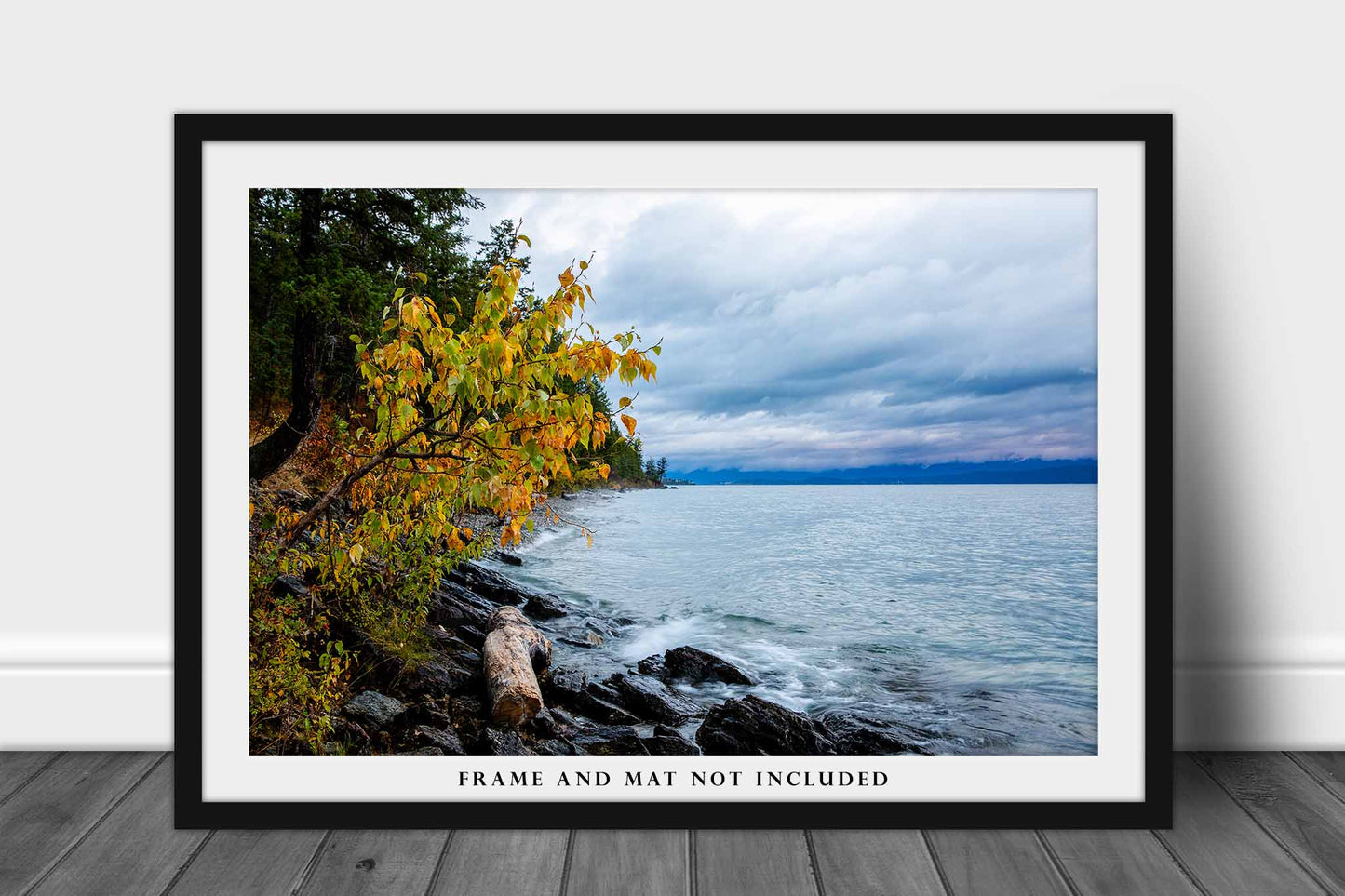 Northern Rockies Photography Print (Not Framed) Picture of Tree with Fall Foliage and Log Along Shoreline of Flathead Lake Montana Rocky Mountain Wall Art Nature Decor