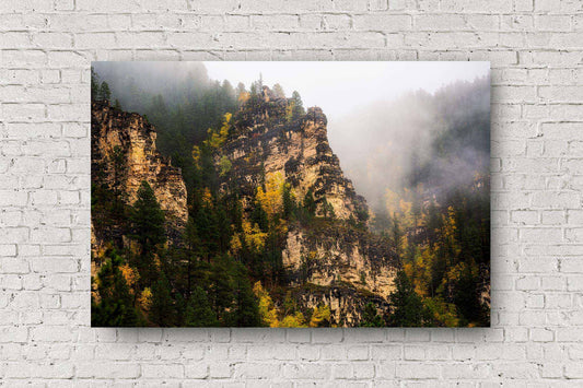 Black Hills metal print of the blackened walls of Spearfish Canyon shrouded in fog and adorned with fall color on an autumn day in South Dakota by Sean Ramsey of Southern Plains Photography.