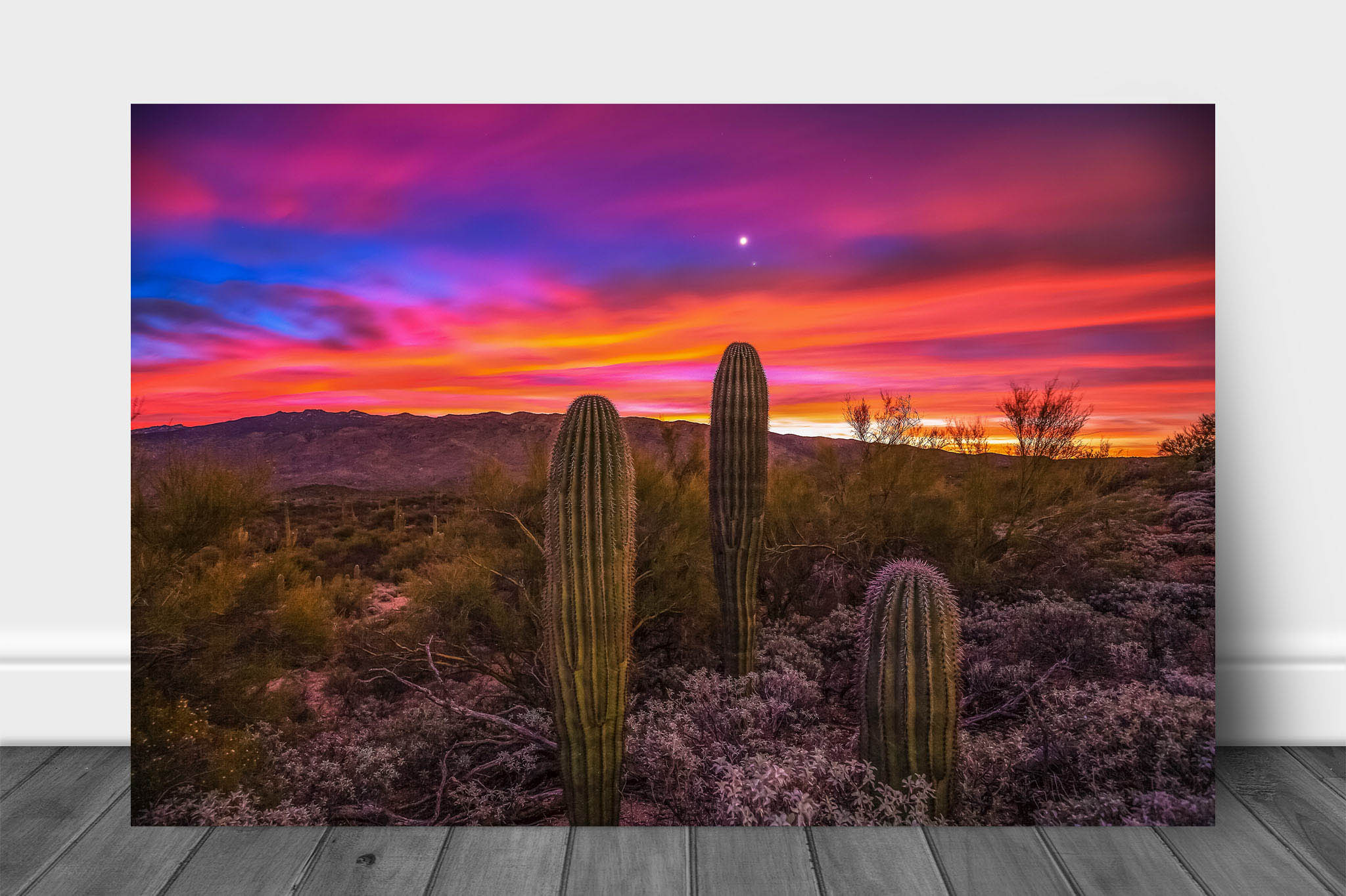 Las Vegas Desert Cactus Photograph DIGITAL DOWNLOAD 